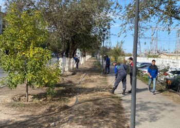 В Конаеве в субботниках приняли участие более 9 тысяч человек