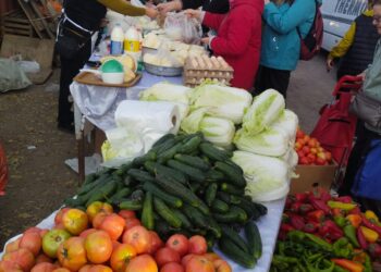 Қонаев қаласында тұрақты түрде ауыл шаруашылығы жәрмеңкесі өтіп келеді