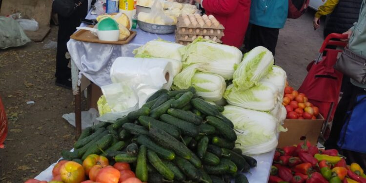 Қонаев қаласында тұрақты түрде ауыл шаруашылығы жәрмеңкесі өтіп келеді