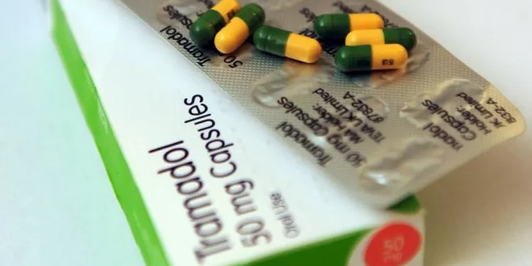 Ақмола облысында зейнеткер әйел «Трамадол» сақтағаны үшін ұсталд