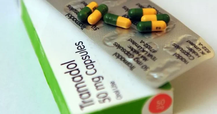 Ақмола облысында зейнеткер әйел «Трамадол» сақтағаны үшін ұсталд