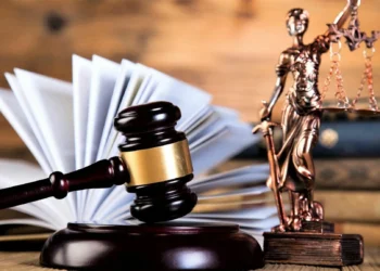 СҚО-да жеке сот орындаушылары 133,5 миллион теңге табысын жасырған