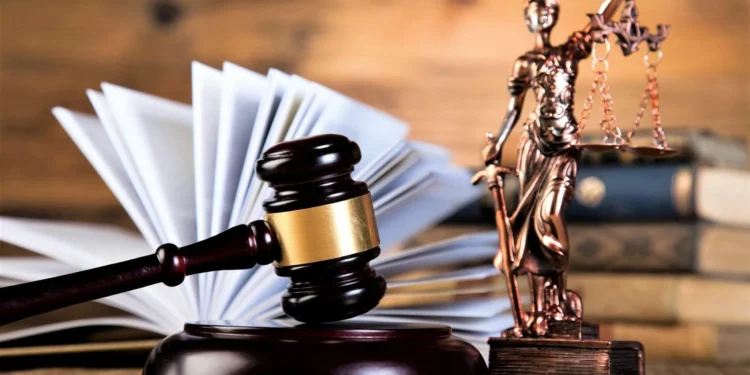 СҚО-да жеке сот орындаушылары 133,5 миллион теңге табысын жасырған