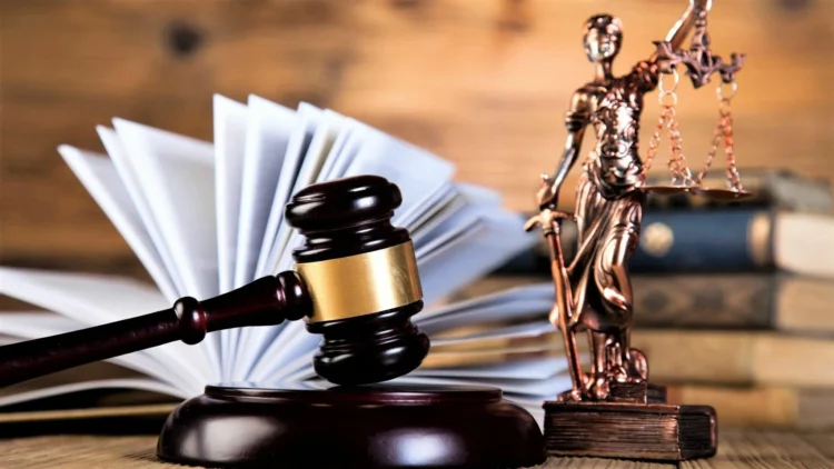 СҚО-да жеке сот орындаушылары 133,5 миллион теңге табысын жасырған