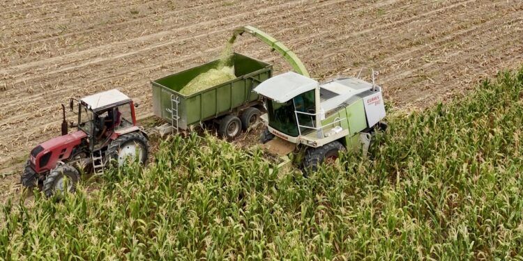 Осенние полевые работы: в Шенгельды собрано более 25 тысяч тонн урожая