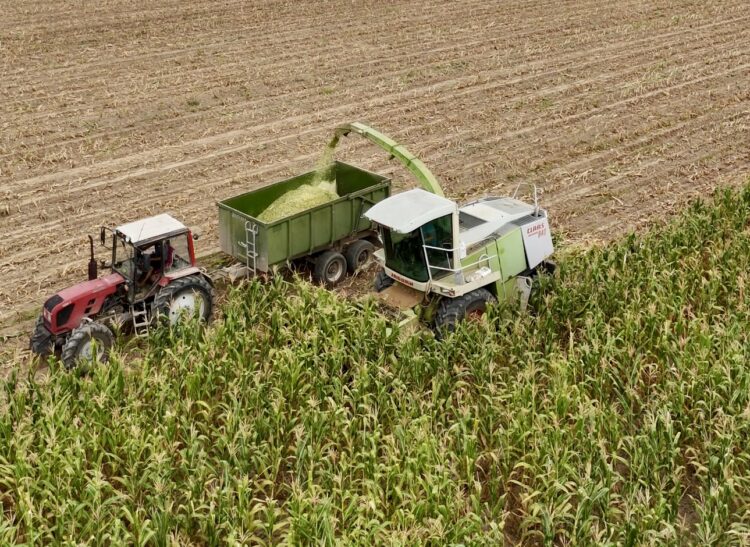 Осенние полевые работы: в Шенгельды собрано более 25 тысяч тонн урожая