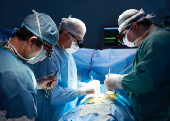 Заңгер: «Денсаулық сақтау министрлігі босанған әйелдің ісінде перзентхананы қорғап отыр»