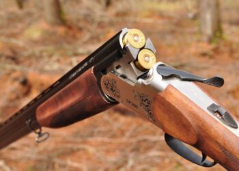 В Жамбылской области подросток погиб от выстрела во время ночной охоты — полиция начала расследование