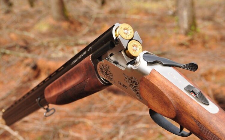 В Жамбылской области подросток погиб от выстрела во время ночной охоты — полиция начала расследование