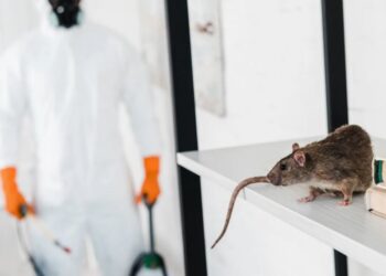 Қонаевта санитарлық-профилактикалық жұмыстардың екінші кезеңі жүргізілуде