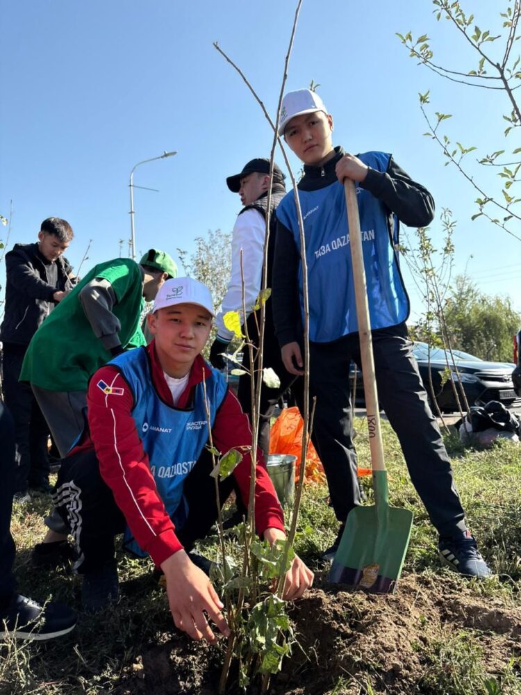 Қонаев қаласында 200-ден астам ағаш егілді