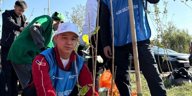 Қонаев қаласында 200-ден астам ағаш егілді