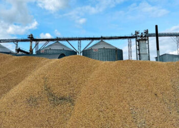 Солтүстік Қазақстанда элеватор жұмысшысы астық қоймасына құлап, қайтыс болды