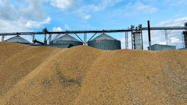 Солтүстік Қазақстанда элеватор жұмысшысы астық қоймасына құлап, қайтыс болды