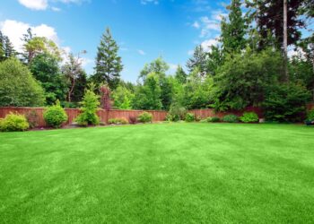 В Туркестанской области акимат незаконно изъял землю у предпринимателей