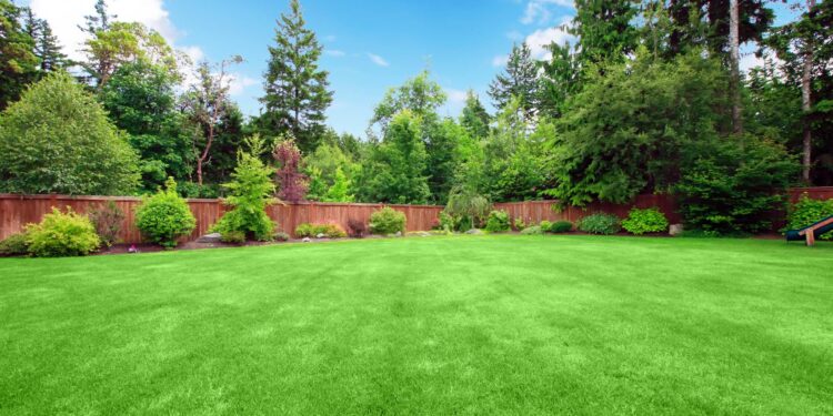 В Туркестанской области акимат незаконно изъял землю у предпринимателей