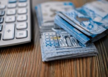 10 қарашадан бастап салық органдары қазақстандықтардың несиесі туралы мәлімет алады