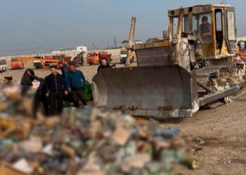 В Конаеве уничтожена продукция, незаконно поступившая в торговый оборот