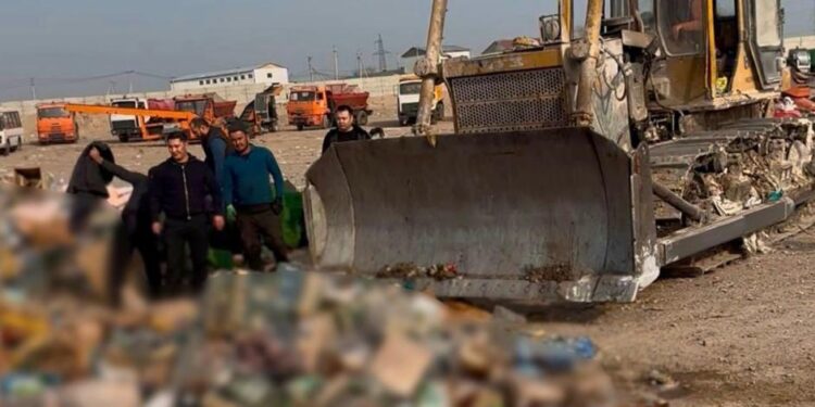 В Конаеве уничтожена продукция, незаконно поступившая в торговый оборот