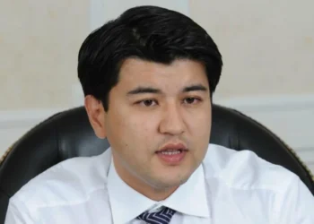 Бішімбаевтің анасы миллион доллардың шығу тегін түсіндірді