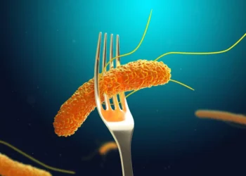 Сальмонелла на кухне