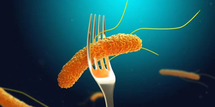 Сальмонелла на кухне