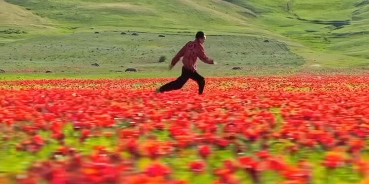 Instagram Қазақстанның сұлулығын бүкіл әлемге көрсетті