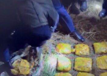 В Акмолинской области изъяли более 12 кг мефедрона