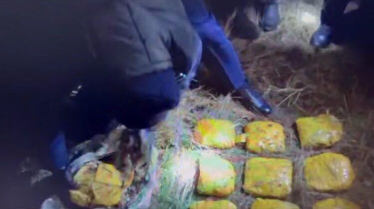 В Акмолинской области изъяли более 12 кг мефедрона