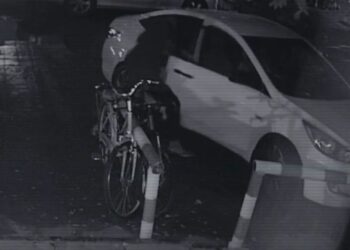 «Ұсақ-түйектің өзі маңызды»: полицейлер Яна Легкодимованың өлімін қалай ашты