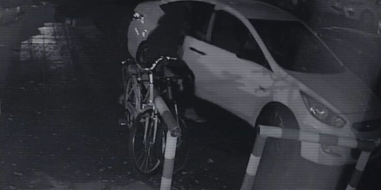 «Ұсақ-түйектің өзі маңызды»: полицейлер Яна Легкодимованың өлімін қалай ашты