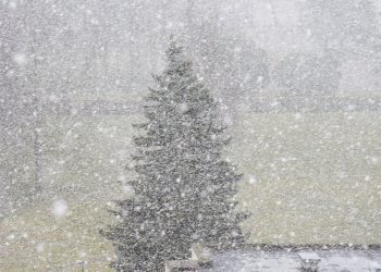 Қазақстанда 35 градусқа дейінгі аяз күтіледі