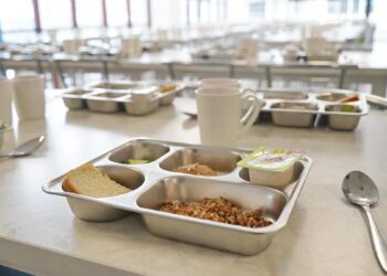 В Петропавловске директора гимназии уволили из-за антисанитарии в школьной столовой