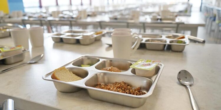 В Петропавловске директора гимназии уволили из-за антисанитарии в школьной столовой