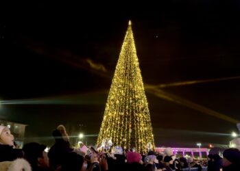 Қонаевта басты шыршаның шамдары салтанатты түрде жағылды