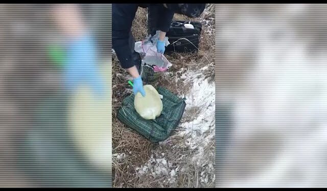 В Алматы изъята крупная партия наркотиков