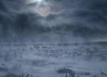 Искали несколько суток: пожилого казахстанца нашли мёртвым в машине посреди степи