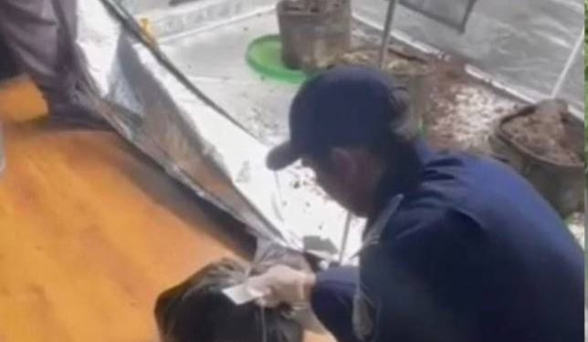 В Алматы в жилой квартире обнаружили нарколабораторию Помещение выявили во время планового обхода в рамках ОПМ «Участок»