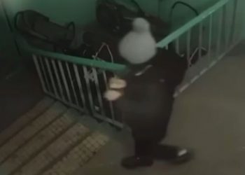 Астанадағы өрт: бейнежазбада подъезге сіріңке тастаған баланың әрекеті