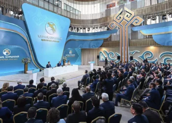 Токаев потребовал ускорить строительство ТЭЦ и электростанций по всей стране