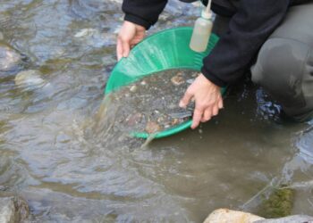 Абай облысында заңсыз алтын өндіру фактілері тоқтатылды