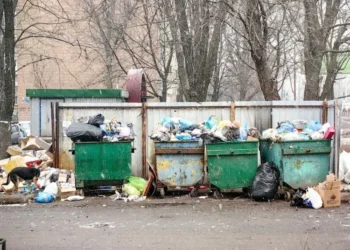 Акиматы в Казахстане получат право штрафовать за мусор