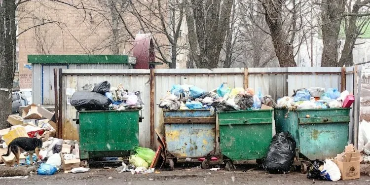 Акиматы в Казахстане получат право штрафовать за мусор