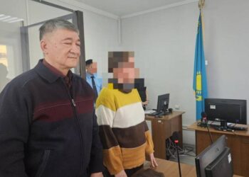 Оскорблявшую казахов в TikTok осудили в Костанае