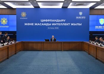 Токаев указал на системные проблемы цифровизации силовых структур