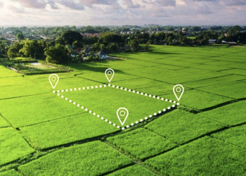 В области Жетісу выявлены грубые нарушения прав предпринимателей и инвестора