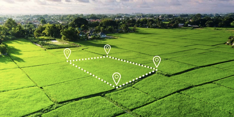 В области Жетісу выявлены грубые нарушения прав предпринимателей и инвестора