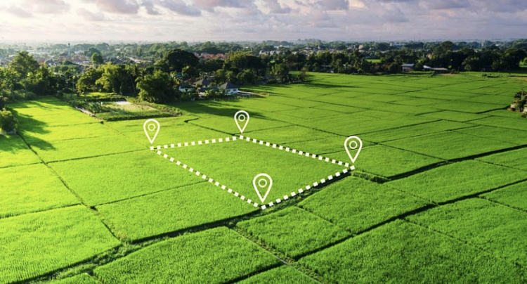 В области Жетісу выявлены грубые нарушения прав предпринимателей и инвестора