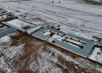 Қонаевта сүт-тауарлы фермасы салынады