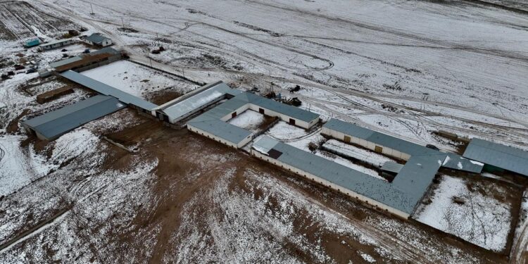 Қонаевта сүт-тауарлы фермасы салынады